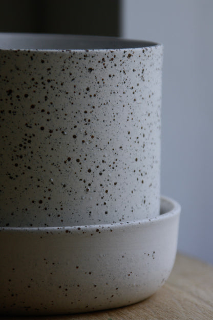 Plant Pot w/Saucer, Dots