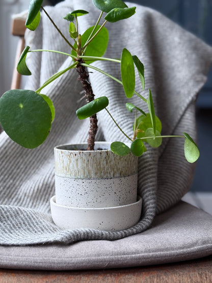 Plant Pot w/Saucer, Dots & Dip