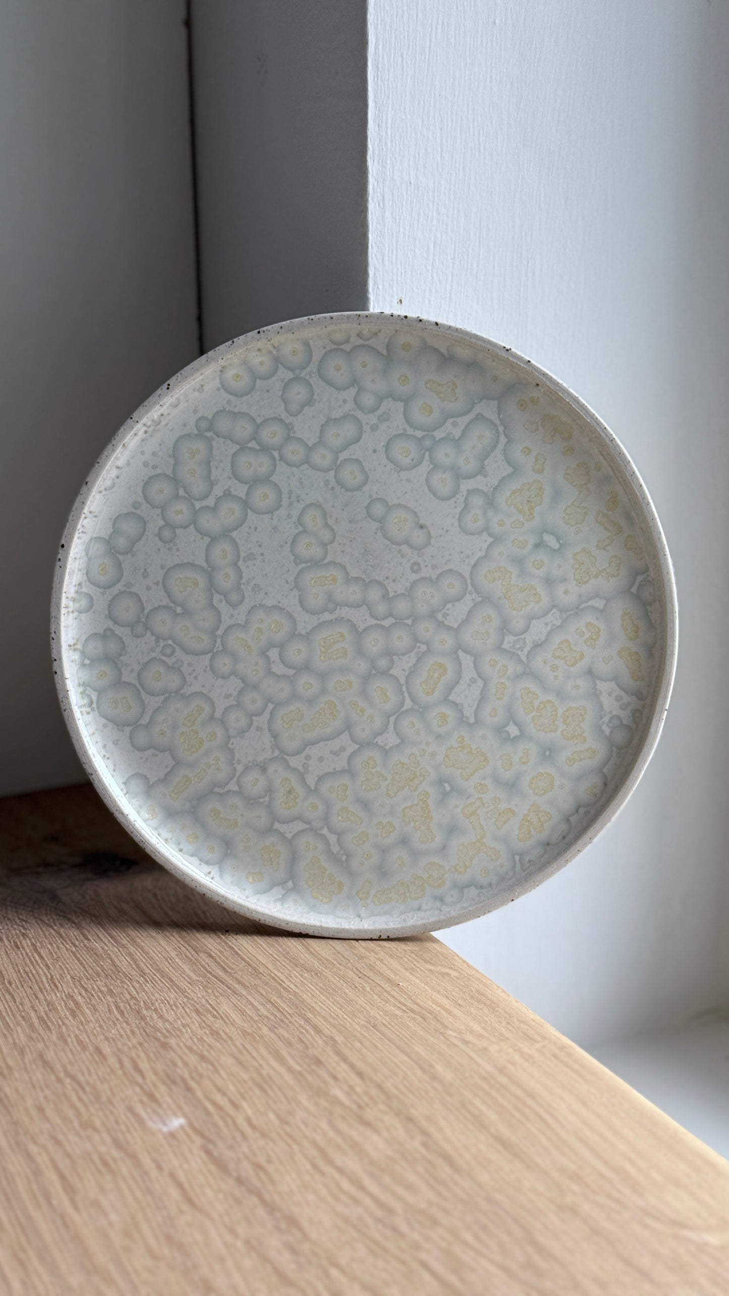 Dessert / Sushi plate, dots w/ crystal glaze