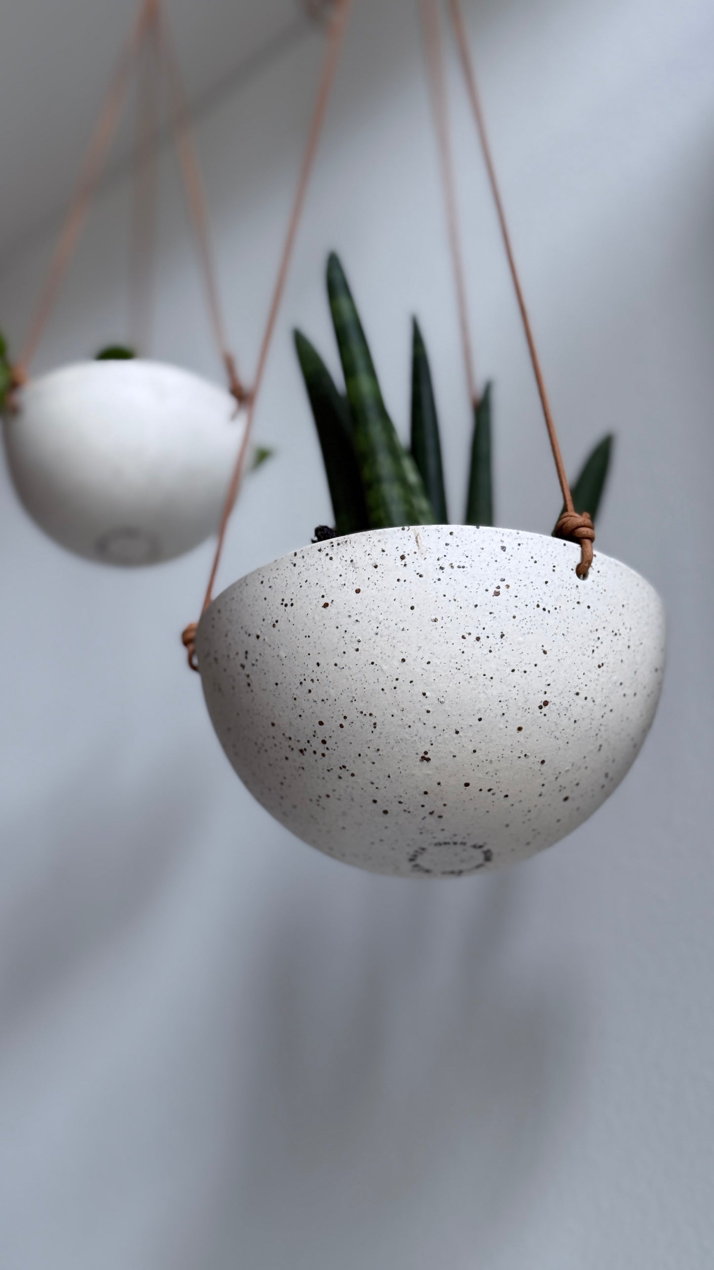 Hanging Bowl, Dots (medium)