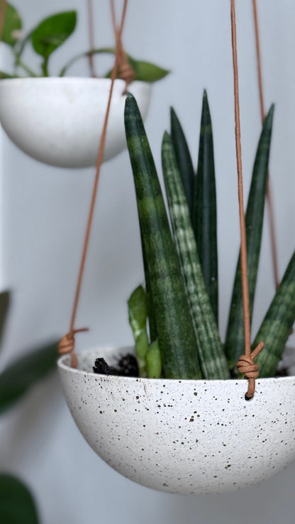 Hanging Bowl, Dots (medium)