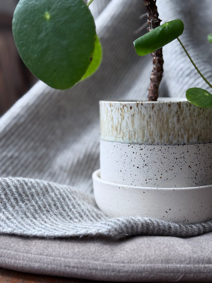 Plant Pot w/Saucer, Dots & Dip