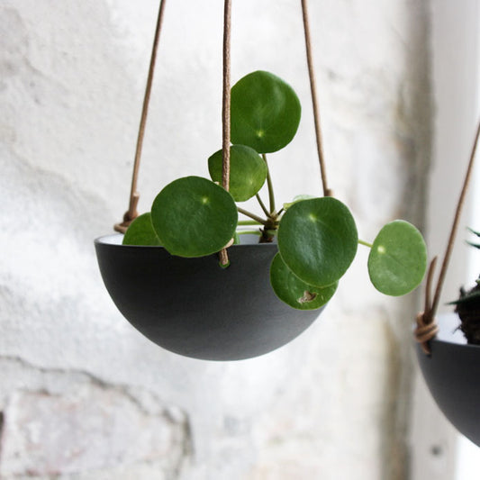 Hanging Bowl, Black (mini)